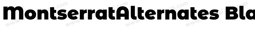 MontserratAlternates Black 11字体转换